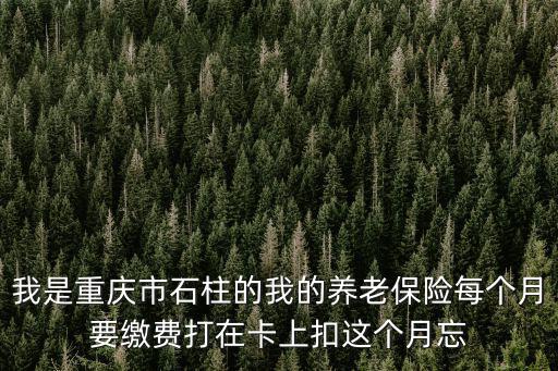 重慶市石柱縣財政局公眾號，重慶市石柱縣可以網上交水電費嗎