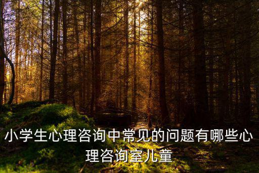 小學(xué)生心理咨詢中常見的問題有哪些心理咨詢室兒童