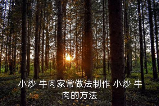  小炒 牛肉家常做法制作 小炒 牛肉的方法
