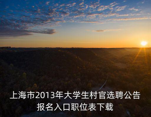 上海市2013年大學生村官選聘公告報名入口職位表下載