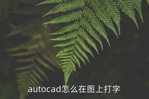 cad打字怎么打，cad里面怎么打字