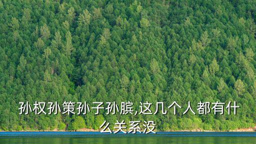 孫權(quán)父親,孫權(quán)本名吳，孫武是蓋武子后代