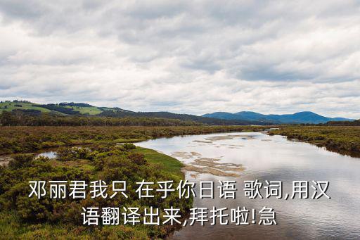 鄧麗君我只 在乎你日語 歌詞,用漢語翻譯出來,拜托啦!急