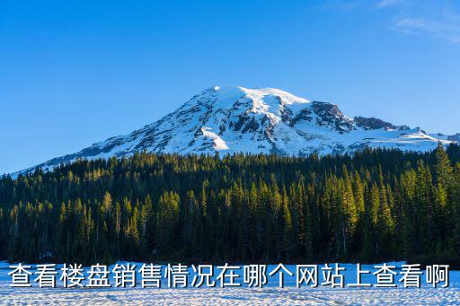重慶市查詢樓盤銷售情況，查看樓盤銷售情況在哪個(gè)網(wǎng)站上查看啊