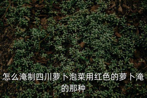 怎么淹制四川蘿卜泡菜用紅色的蘿卜淹的那種