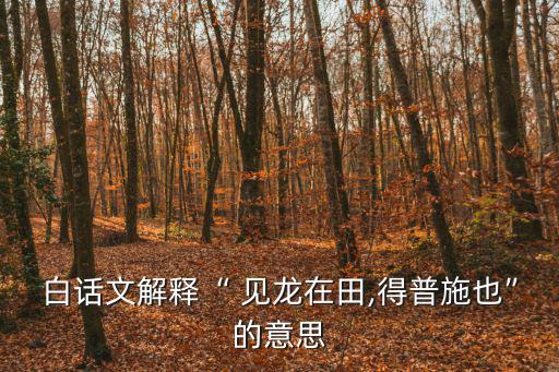 見龍?jiān)谔?【周易·干卦》第二集:有龍?jiān)谕獾赜欣谝姶笕?/></a></span><span id=