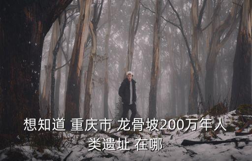 想知道 重慶市 龍骨坡200萬年人類遺址 在哪