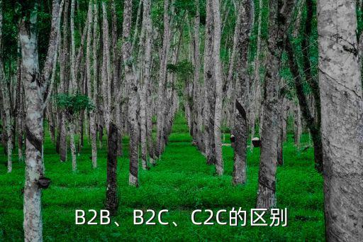 btoc與b2b區別,零售商與消費者之間的電子商務行為