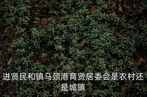 進賢民和鎮馬頸港育賢居委會是農村還是城鎮