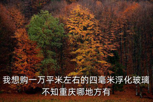 我想購一萬平米左右的四毫米浮化玻璃不知重慶哪地方有