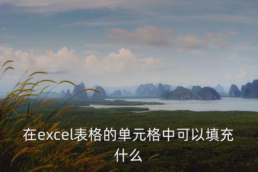在excel表格的單元格中可以填充什么
