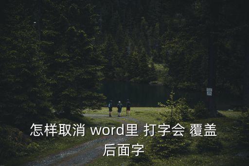 怎樣取消 word里 打字會 覆蓋后面字