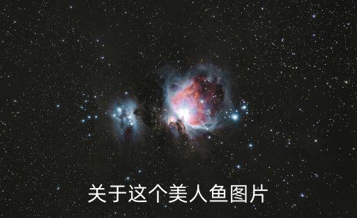 關(guān)于這個(gè)美人魚(yú)圖片