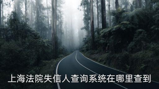 上海法院失信人查詢系統在哪里查到