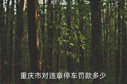 重慶市對違章停車罰款多少