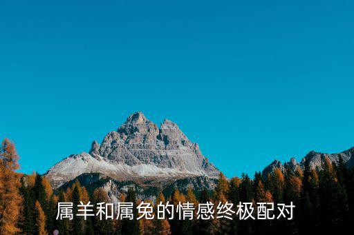 屬羊和屬兔的情感終極配對