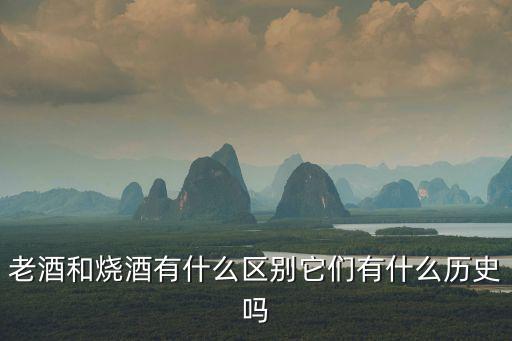 老酒和燒酒有什么區別它們有什么歷史嗎