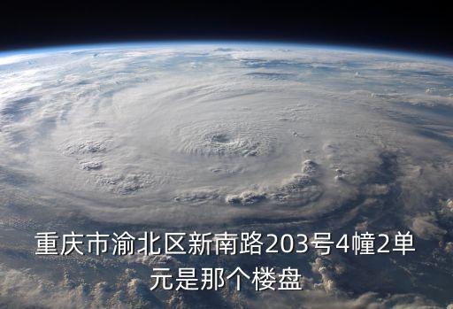 重慶市渝北區水土片區的新樓盤，重慶市渝北區新南路203號4幢2單元是那個樓盤