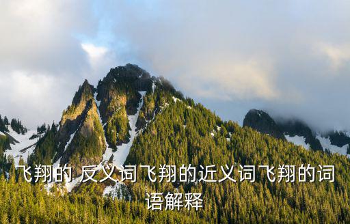 飛的反義詞,飛機(jī)在空中航行機(jī)組人員在高空~快反義詞慢