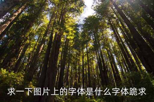 求一下圖片上的字體是什么字體跪求