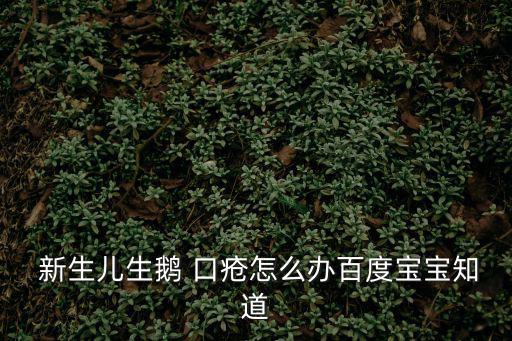  新生兒生鵝 口瘡怎么辦百度寶寶知道
