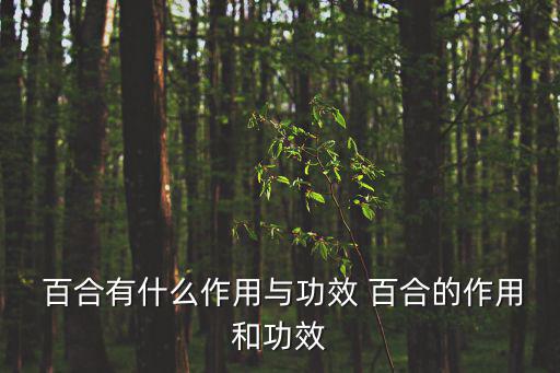  百合有什么作用與功效 百合的作用和功效
