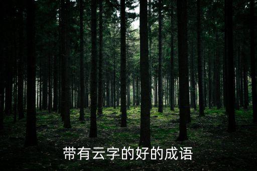 帶有云字的好的成語
