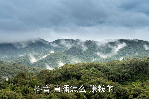 抖音 直播怎么 賺錢的
