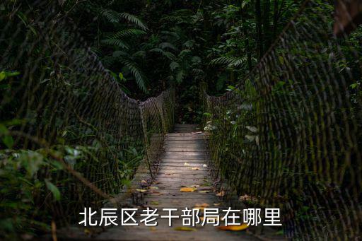 北辰區老干部局在哪里