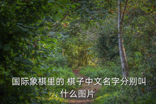 國際象棋棋子,國際象棋棋子共32個分黑白兩組16個
