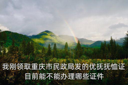 我剛領取重慶市民政局發的優撫撫恤證目前能不能辦理哪些證件