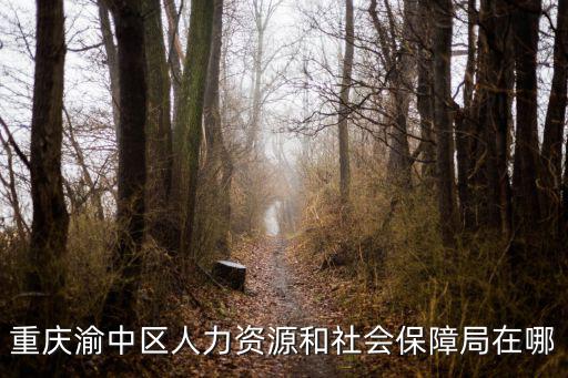 重慶渝中區人力資源和社會保障局在哪