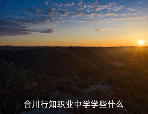 合川行知職業中學學些什么