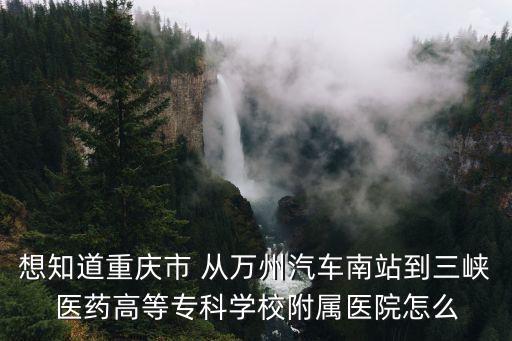 想知道重慶市 從萬州汽車南站到三峽醫(yī)藥高等專科學(xué)校附屬醫(yī)院怎么