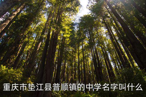 重慶市墊江縣普順鎮(zhèn)的中學(xué)名字叫什么