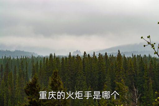 重慶的火炬手是哪個