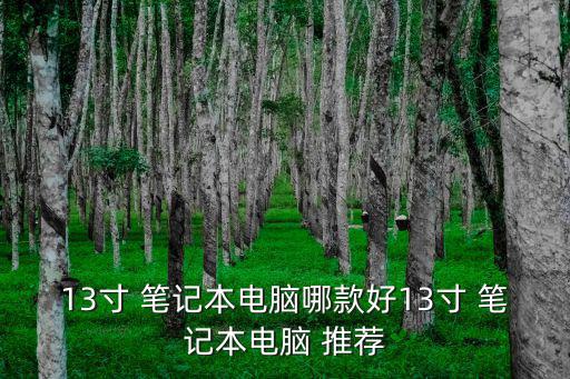 13寸 筆記本電腦哪款好13寸 筆記本電腦 推薦