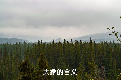 大象的寓意，大象代表什么