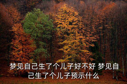  夢見自己生了個兒子好不好 夢見自己生了個兒子預示什么