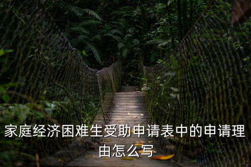 家庭經(jīng)濟困難生受助申請表中的申請理由怎么寫
