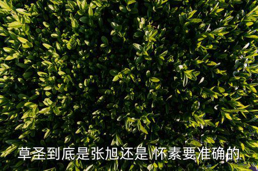 草圣到底是張旭還是 懷素要準確的