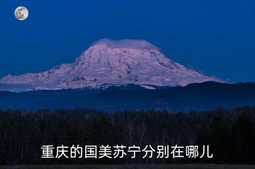 重慶的國美蘇寧分別在哪兒