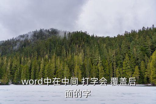 word打字覆蓋,如何在word中切換默認輸入模式和行文?