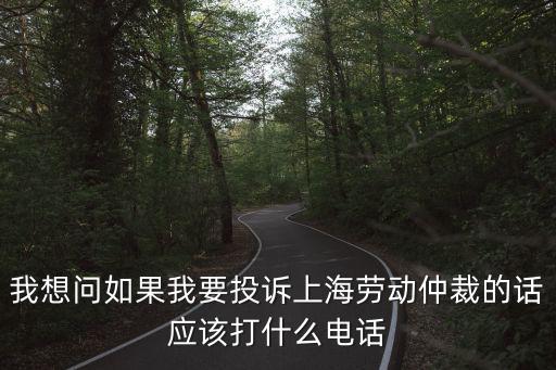 我想問如果我要投訴上海勞動仲裁的話應該打什么電話