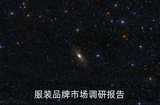 服裝品牌市場調研報告