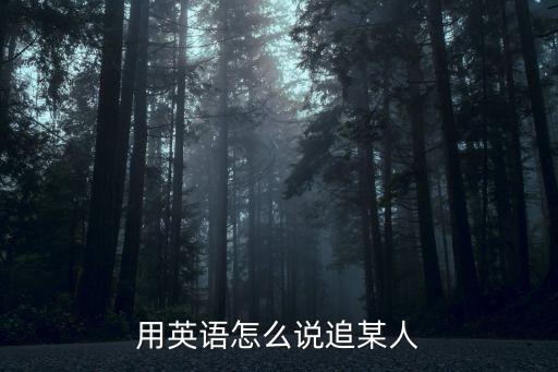 追趕的英文,第三人稱單數:追趕；追求