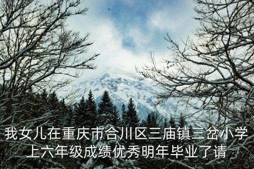 我女兒在重慶市合川區三廟鎮三岔小學上六年級成績優秀明年畢業了請