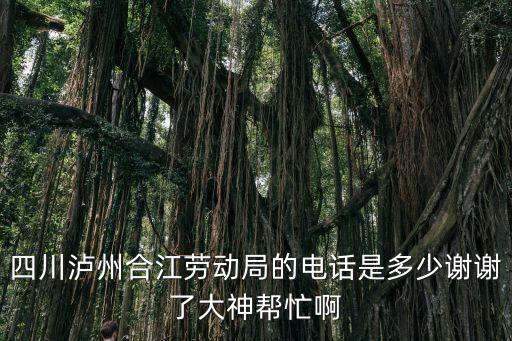 四川瀘州合江勞動局的電話是多少謝謝了大神幫忙啊