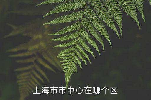 上海市市中心在哪個區(qū)