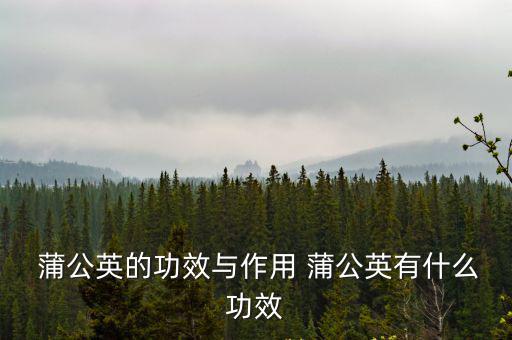 蒲公英有什么效果,可以喝蒲公英的水治療感染性炎癥